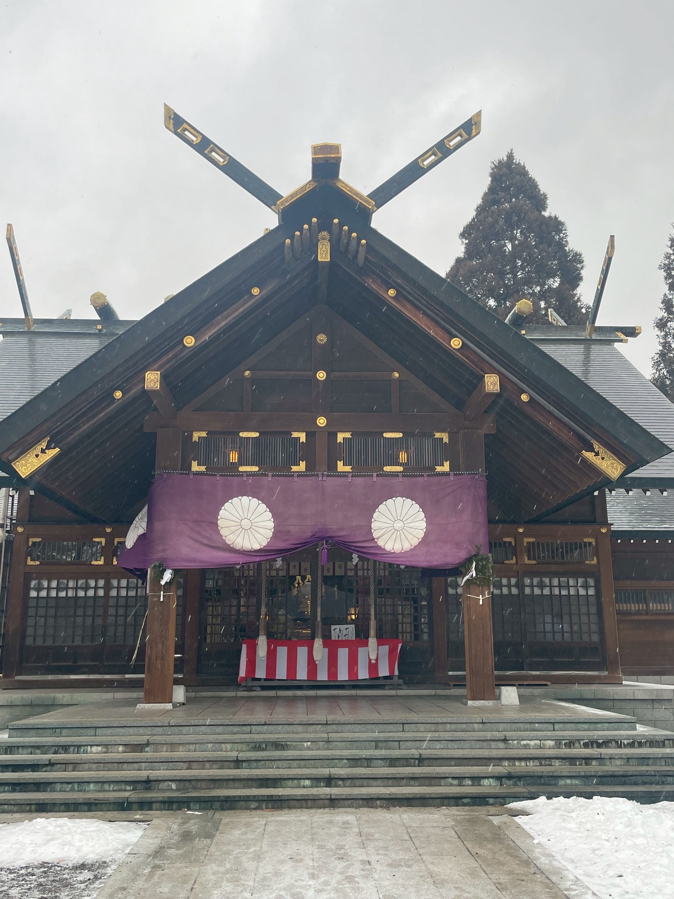 ２０２６年もよろしくお願いします🐎✨